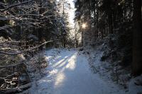 IMG_2400.JPG