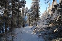 IMG_2406.JPG