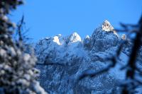 IMG_2466.JPG