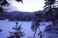 IMG_2484.JPG