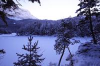 IMG_2487.JPG