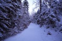 IMG_2511.JPG