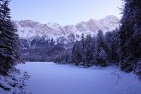 IMG_2514.JPG