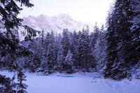 IMG_2517.JPG