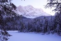 IMG_2523.JPG