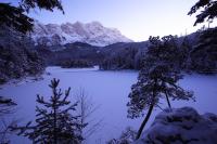 IMG_2529.JPG