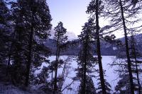 IMG_2559.JPG