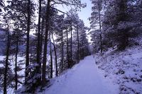 IMG_2568.JPG