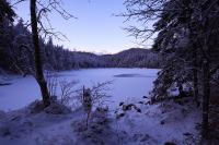 IMG_2613.JPG