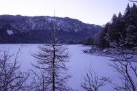 IMG_2619.JPG