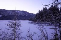 IMG_2625.JPG