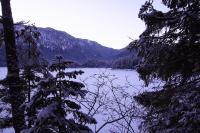 IMG_2628.JPG