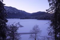 IMG_2634.JPG