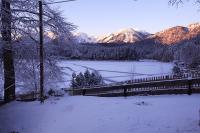 IMG_2646.JPG