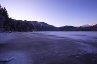 IMG_2661.JPG