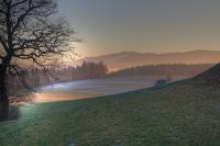 IMG_3006_7_8Enhancer.jpg
