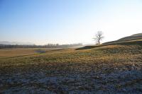 IMG_2951.JPG