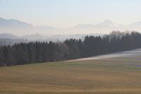 IMG_2981.JPG