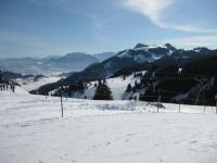 IMG_1331.JPG