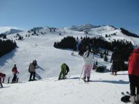 IMG_1332.JPG